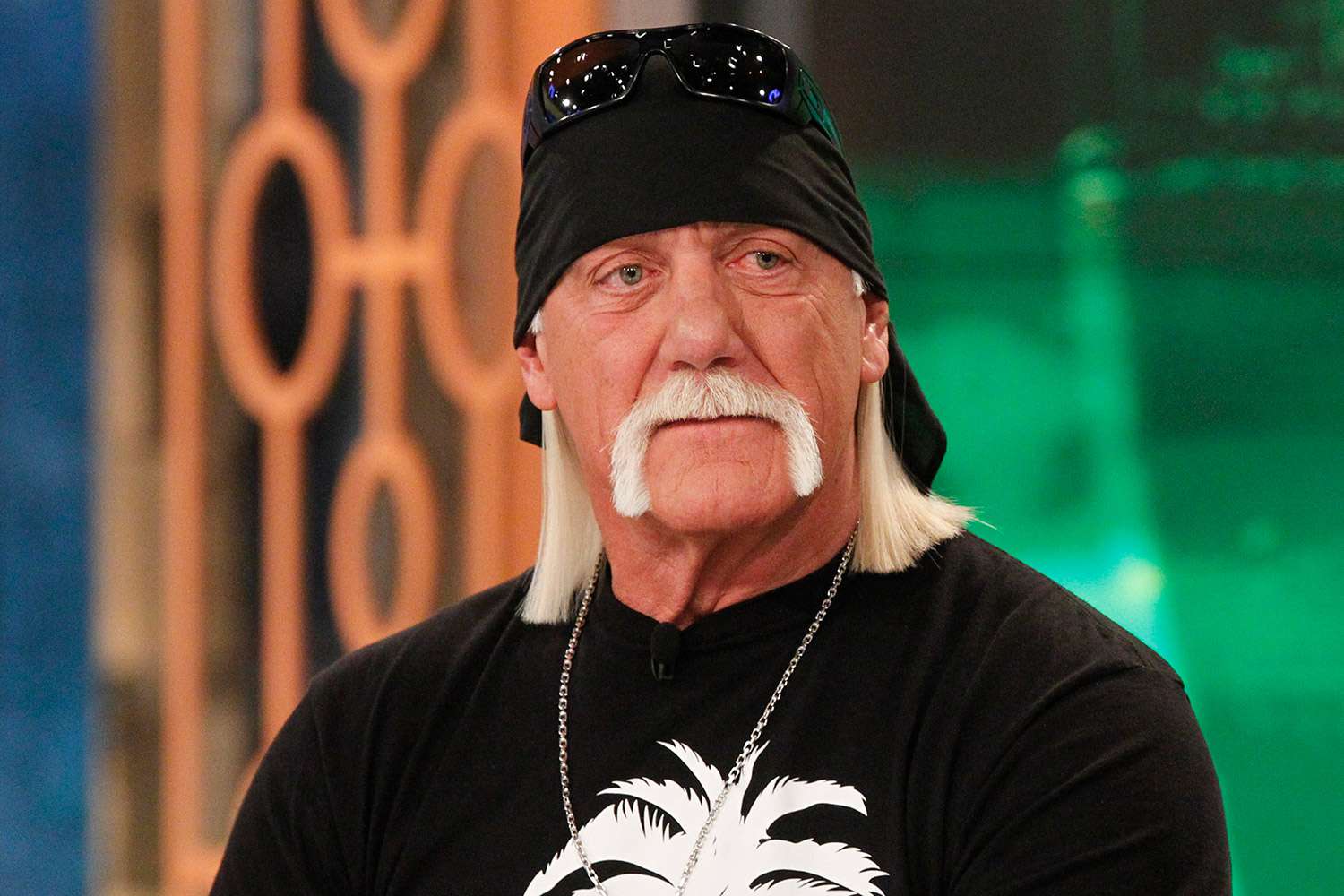 Lutador Hulk Hogan teria sido convidado para tocar no Metallica