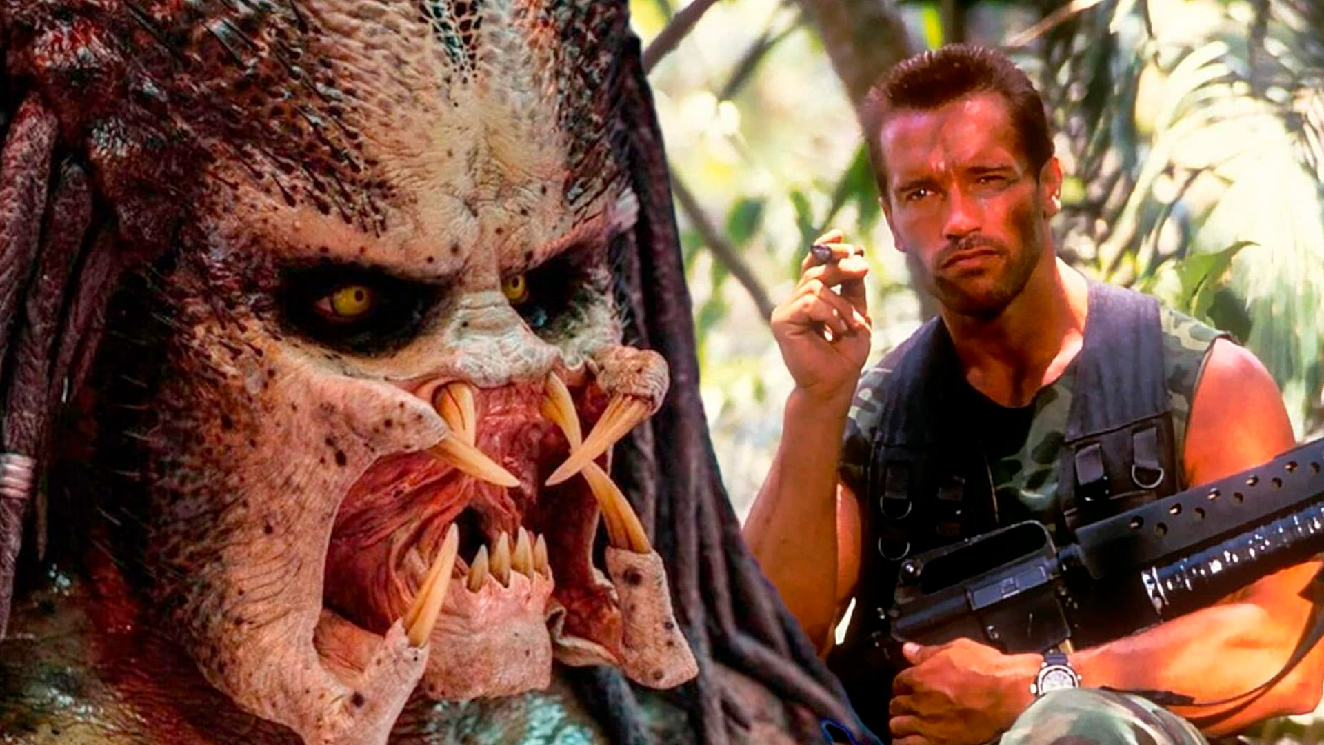 Arnold Schwarzenegger está aberto a reprisar Dutch em Predador