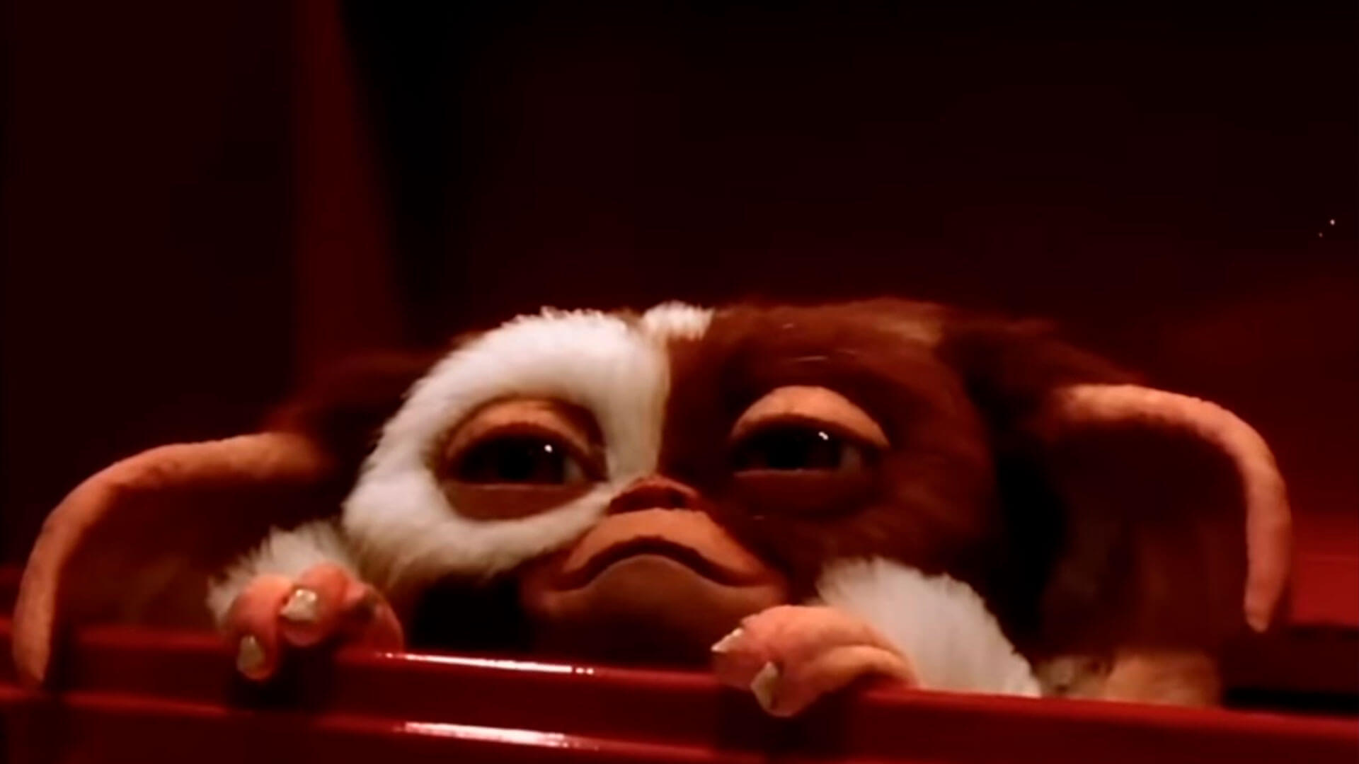 Gremlins 3 confirma retorno com Chris Columbus e Steven Spielberg